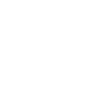 OFFICIAL F-ONE PRO SCHOOL LOGO